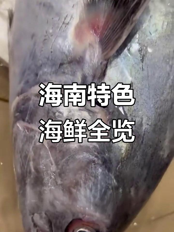 海南常见海鲜大揭秘：青衣鱼、猪脚鱼与紫红涤的独特美味