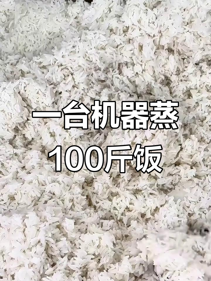 智能蒸饭机,一次搞定百斤米饭,颗粒分明超好吃