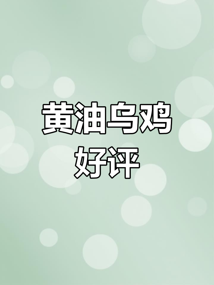 客户反馈极佳,乌鸡黄油色泽鲜亮,产蛋量也大增!