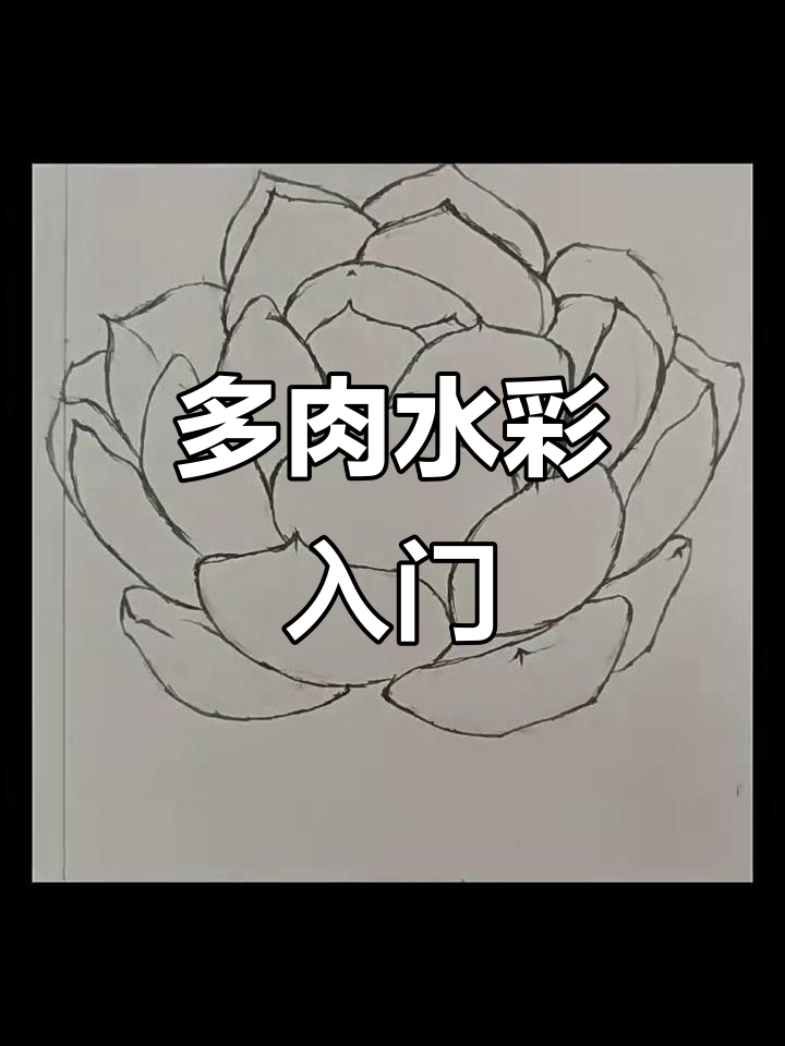 多肉水彩教程,一步步教你画出可爱小植物