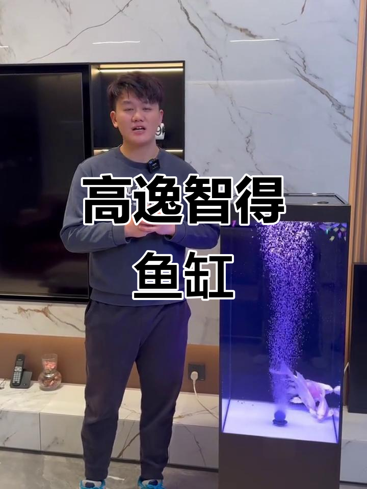 客厅必备高颜值鱼缸，智能设计让生活更美好