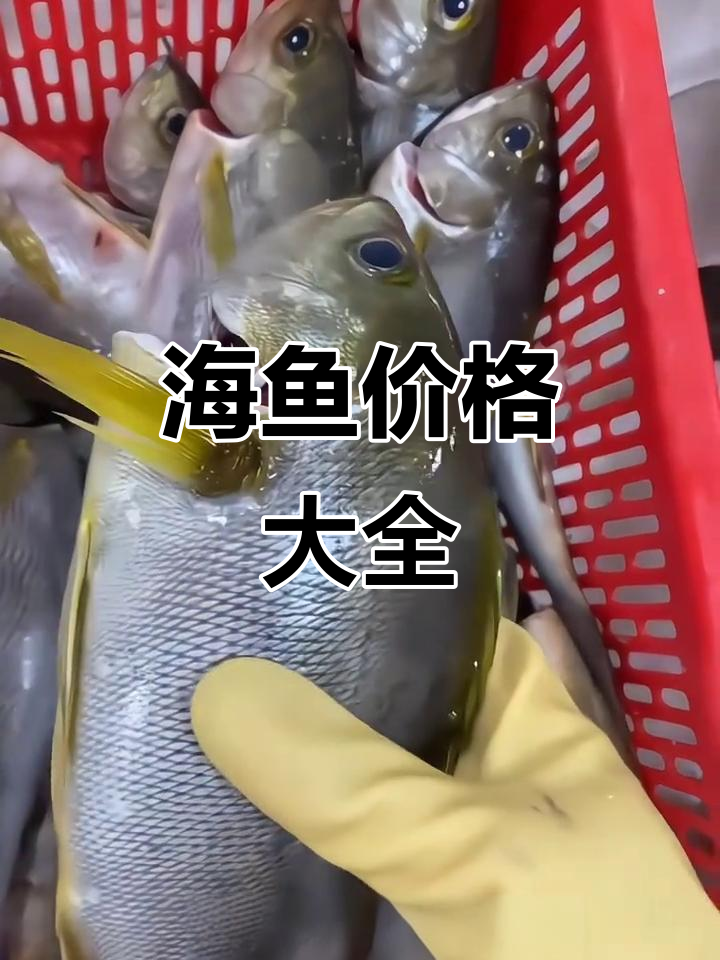 51种常见海水鱼类价格大揭秘，你吃过几种？