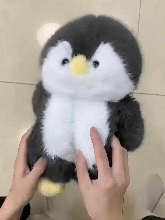 天呐也太可爱了吧!我的过冬企鹅拖鞋 暖乎乎又可爱