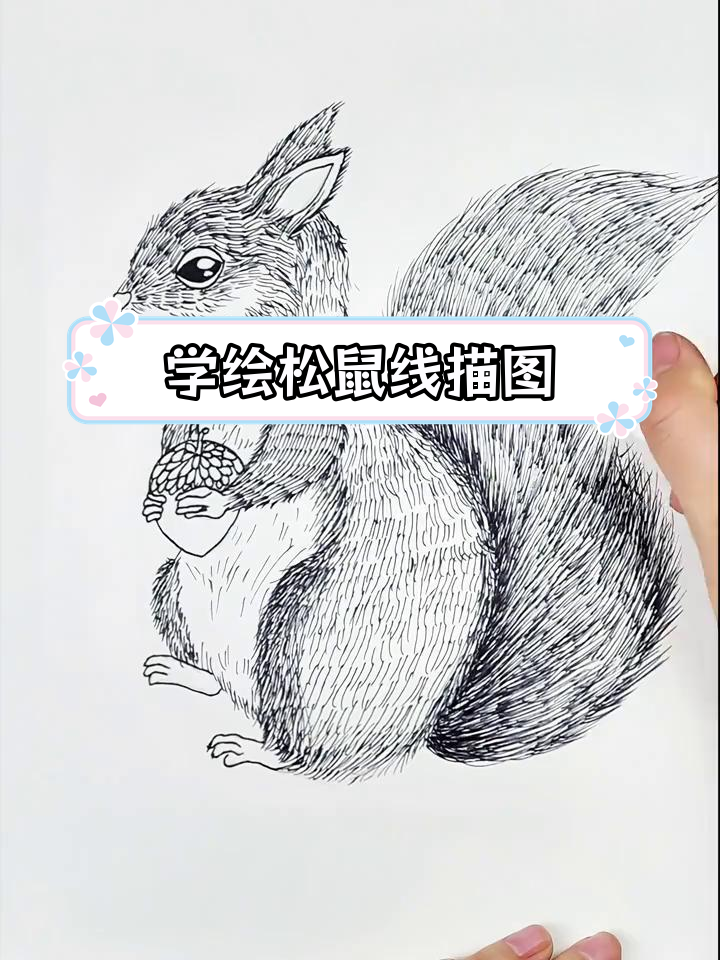 可爱松鼠线描画教程,轻松学会绘制小松鼠