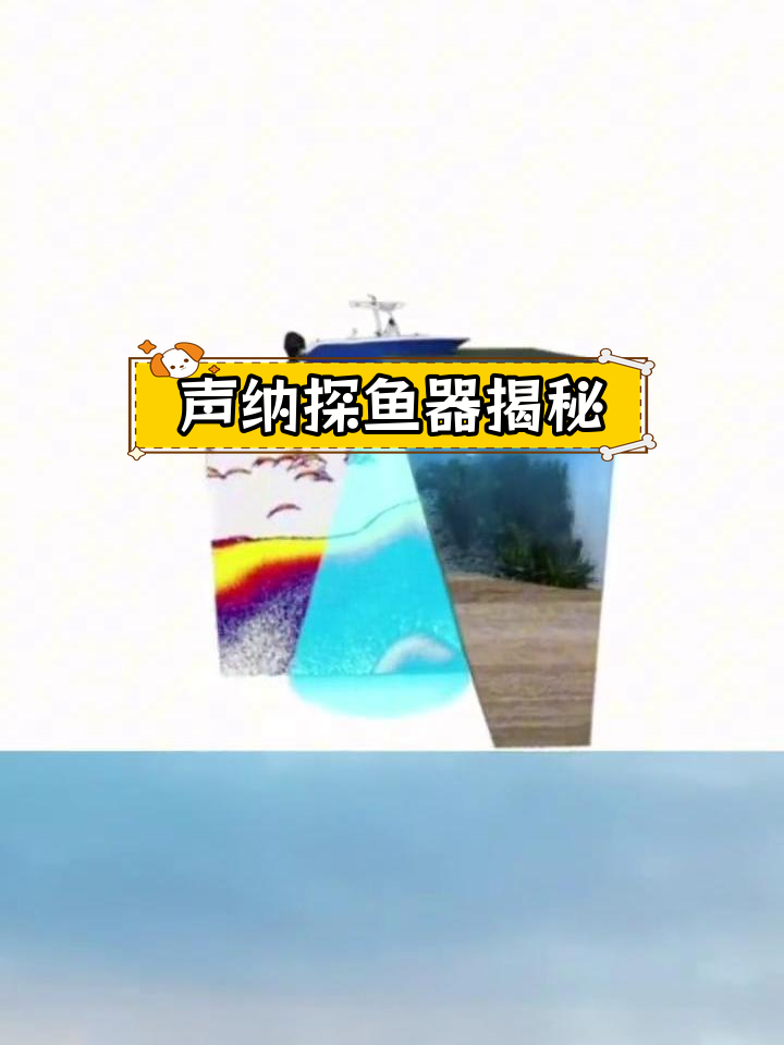 声纳探鱼器的工作原理解析