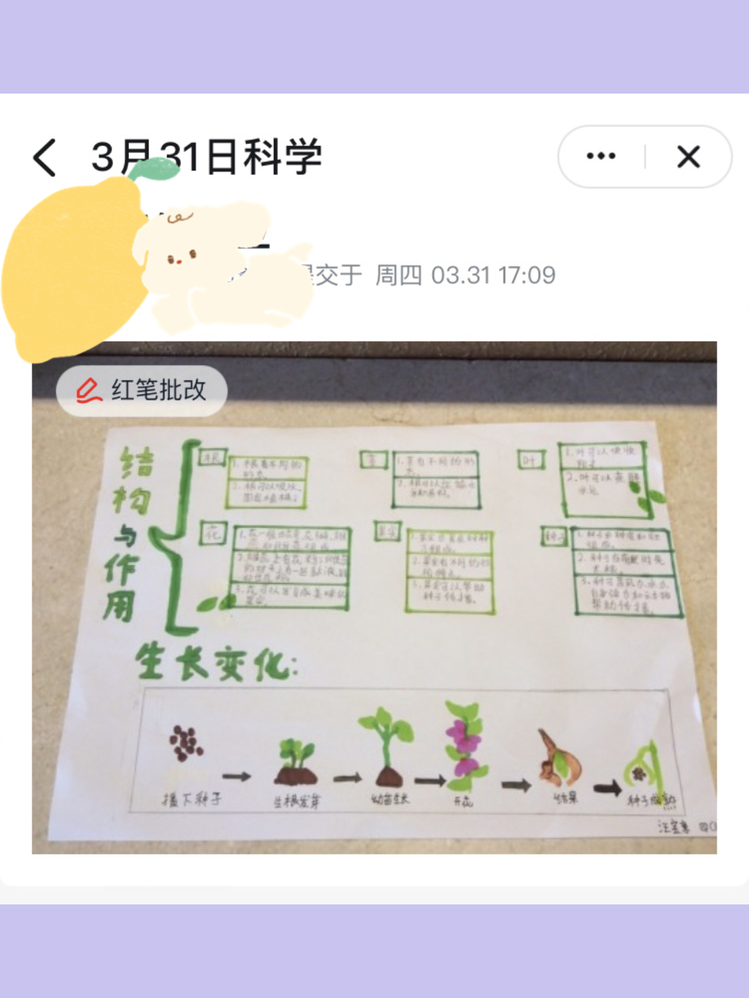 小学科学第一单元思维导图(四年级)