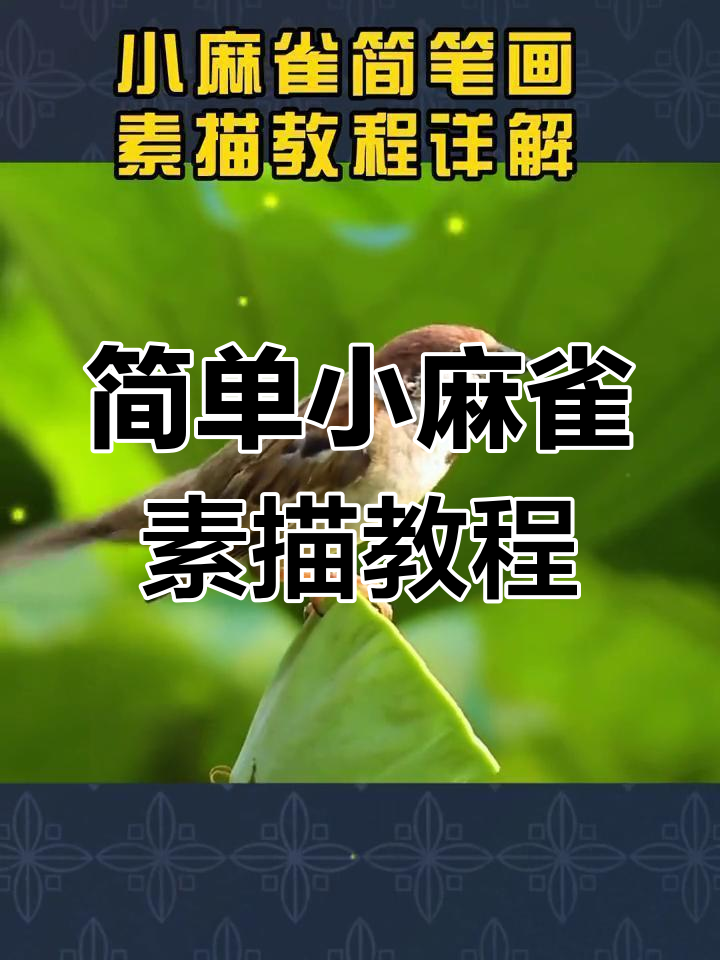 小麻雀素描步骤详解,零基础也能轻松学会