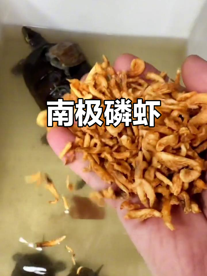 南极磷虾,天然脱盐,常温保存,营养丰富,适合鱼龟食用