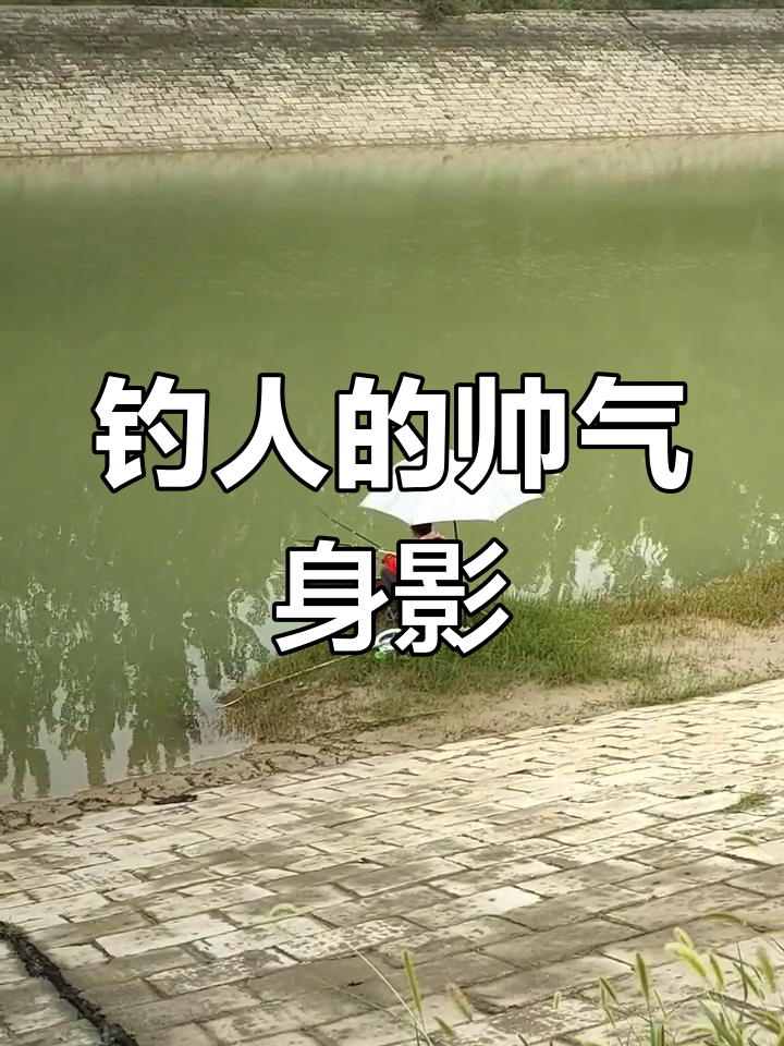 钓鱼人背影太帅了,水质好到让人羡慕