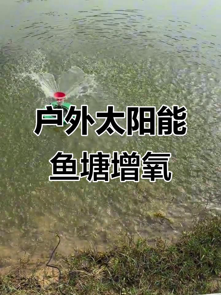 太阳能漂浮增氧泵,助力鱼池生态健康