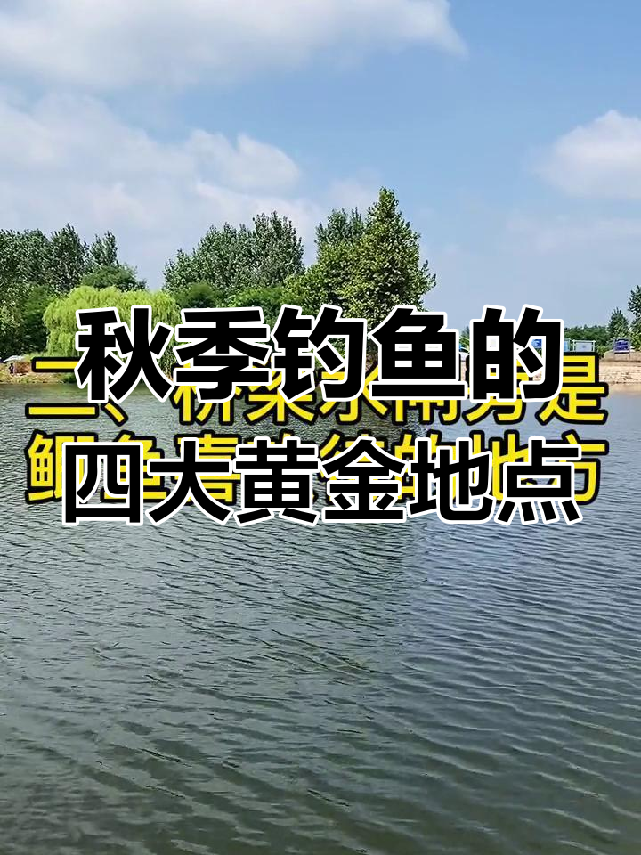 立秋后鱼藏哪?这四个位置钓鱼最容易成功