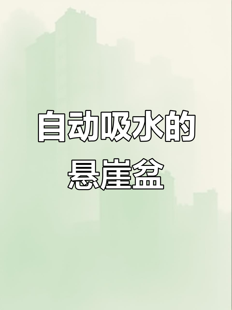 吸水石盆景,悬崖造型设计,月季花搭配更美