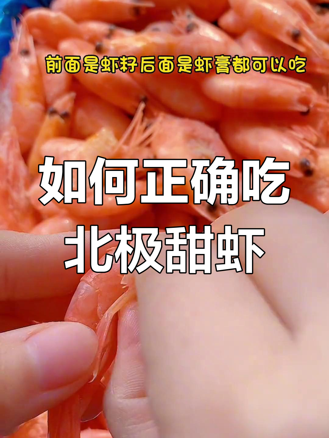 北极甜虾的正确吃法,头籽和虾肉都能享受