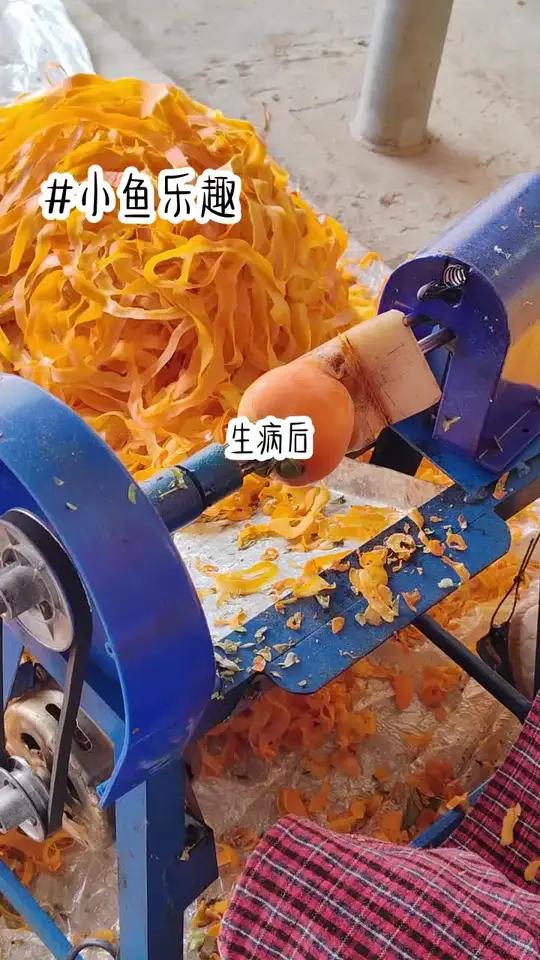 小说推荐《小鱼乐趣》