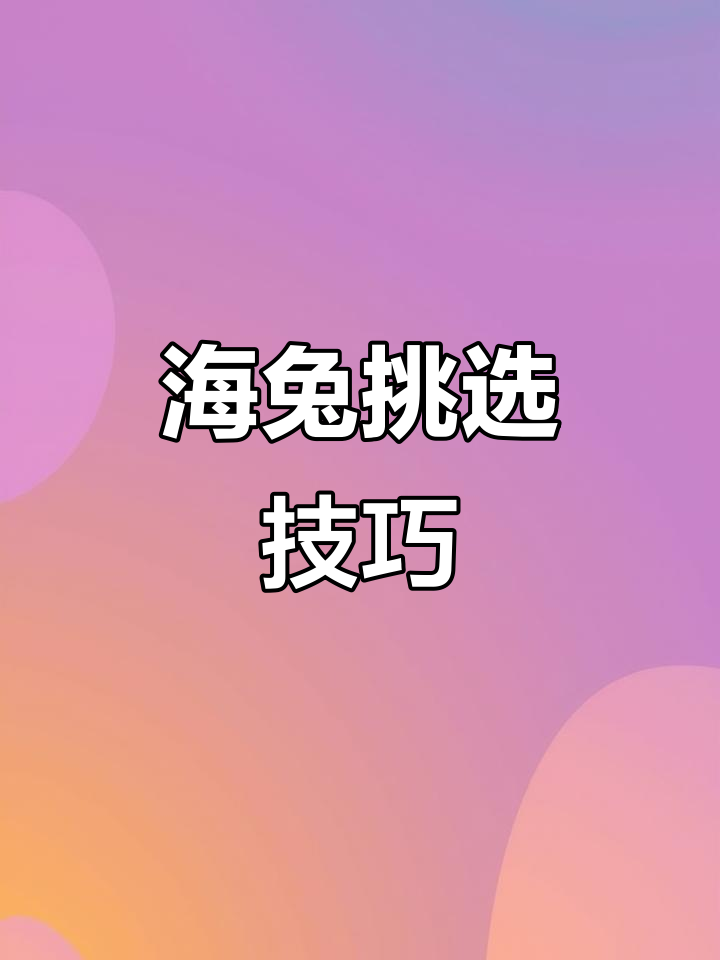 精选海兔,鲜嫩紫膏满满,红烧辣炒超美味