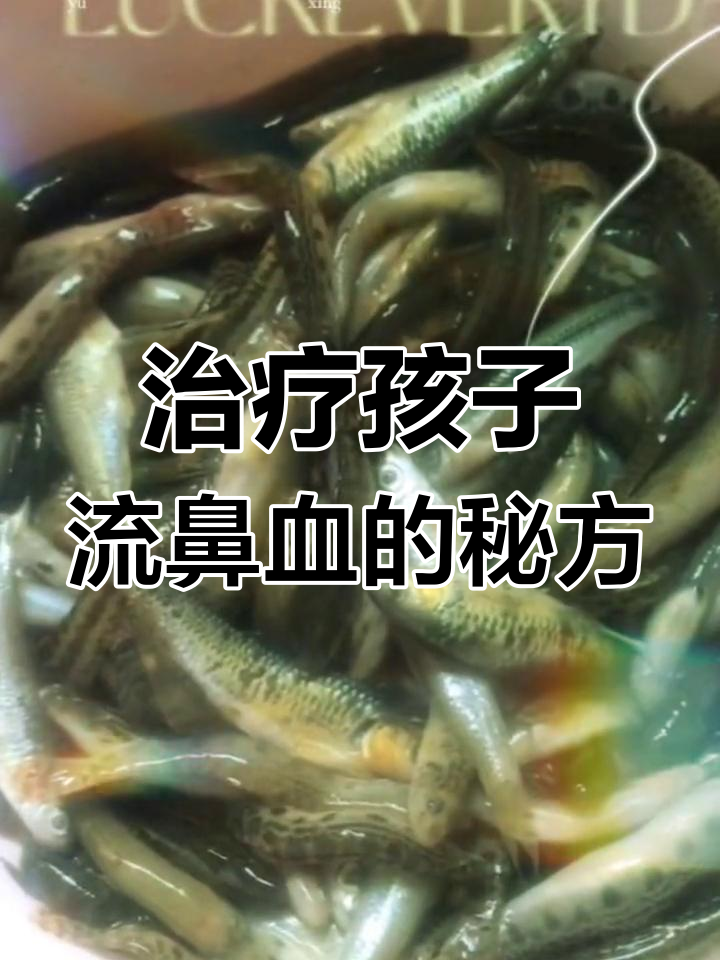 野生塘虱鱼煲黑豆汤,治愈儿子流鼻血