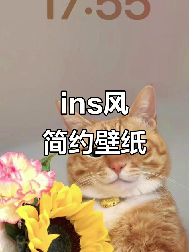简约ins风格壁纸,打造清新家居氛围