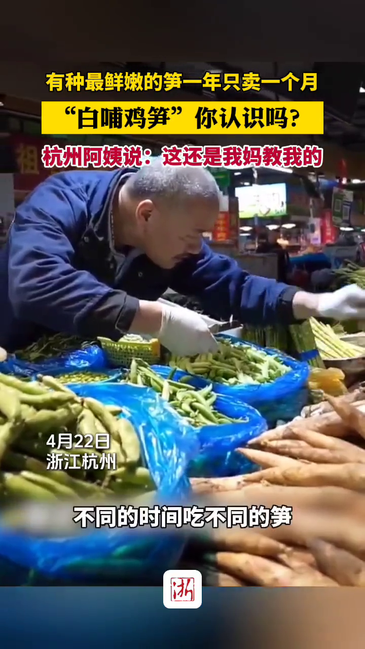 有种“最鲜嫩”的春笋一年只卖一个月,“白哺鸡笋”你认识吗?