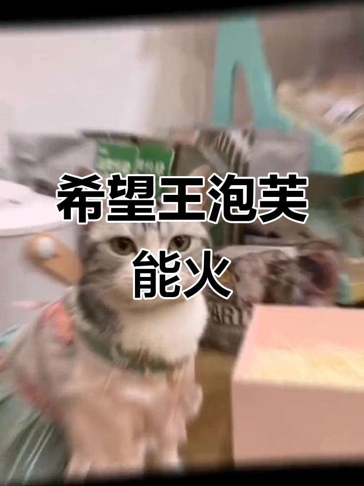 王泡芙的抖音之路,希望能火!