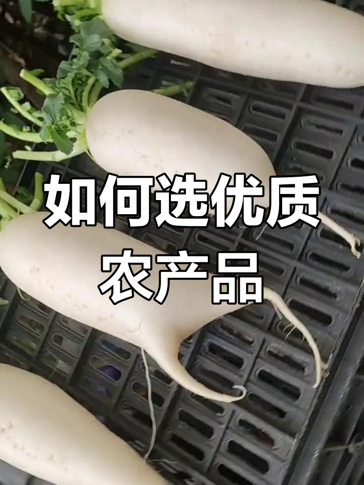 纯天然绿色蔬菜选购技巧