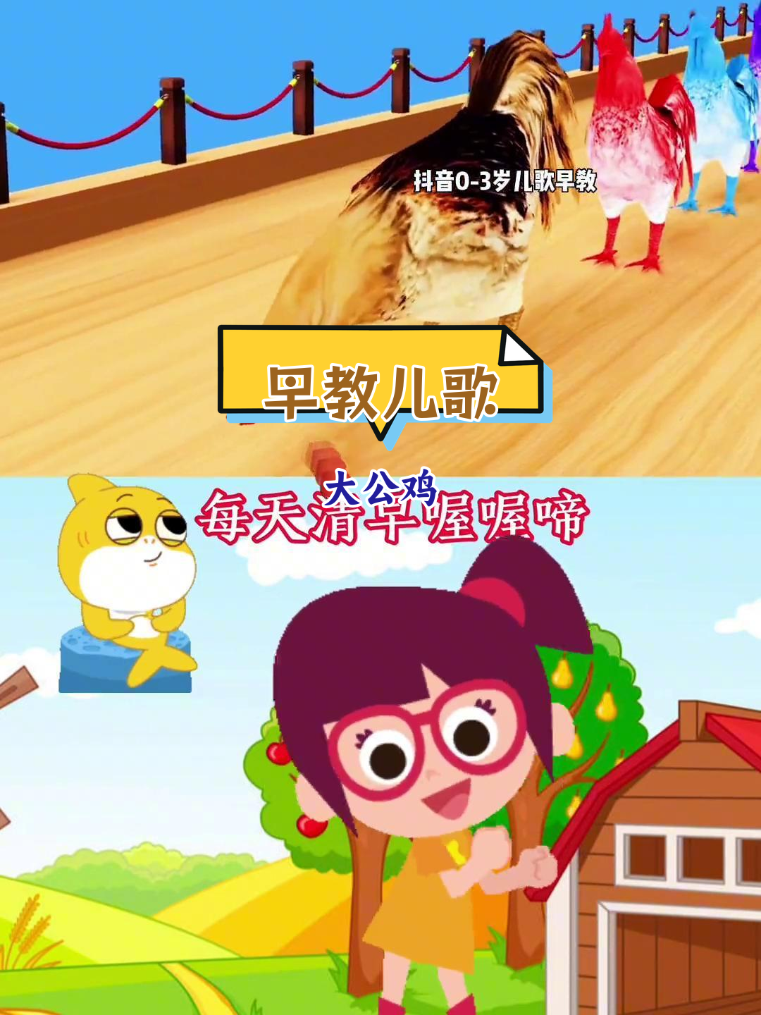 大公鸡的美丽羽毛