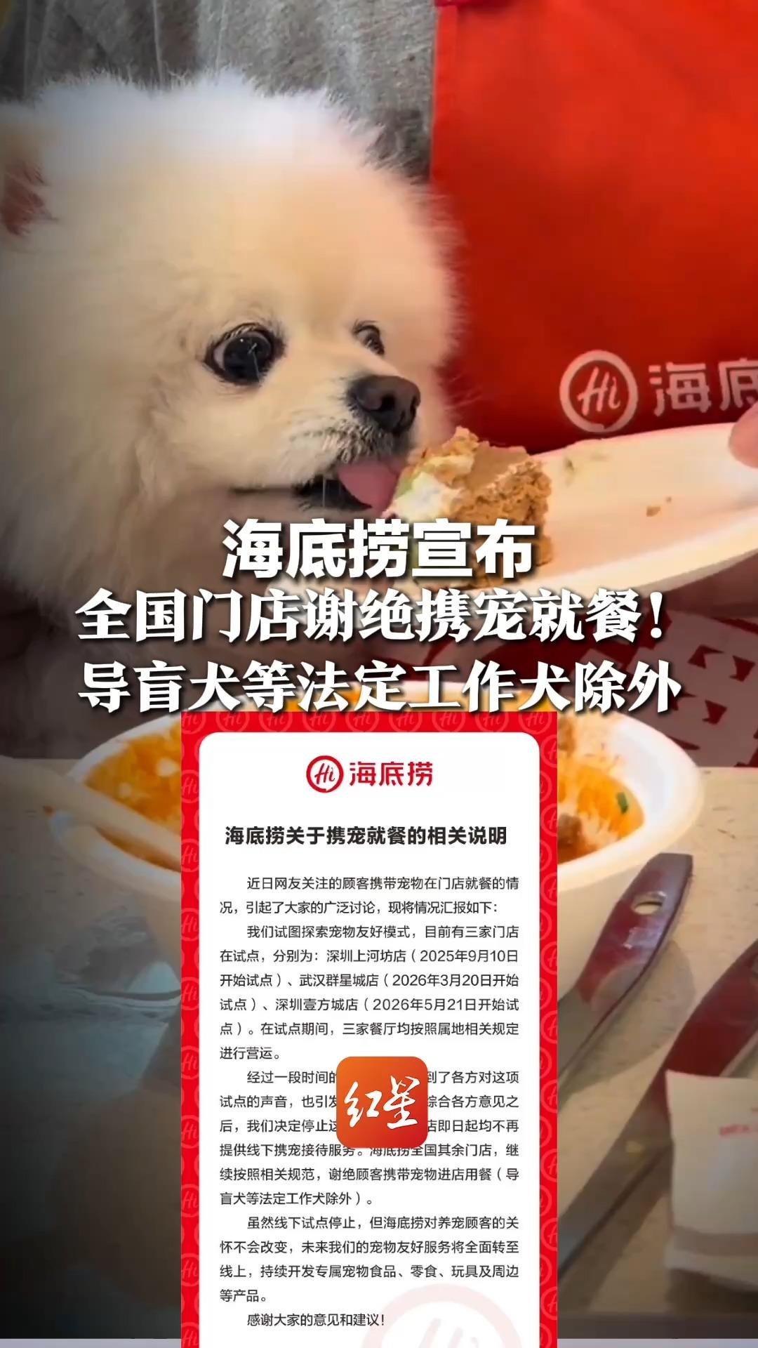 海底捞宣布全国门店谢绝携宠就餐!导盲犬等法定工作犬除外 此前宠物友好餐厅小狗上桌舔蛋糕引争