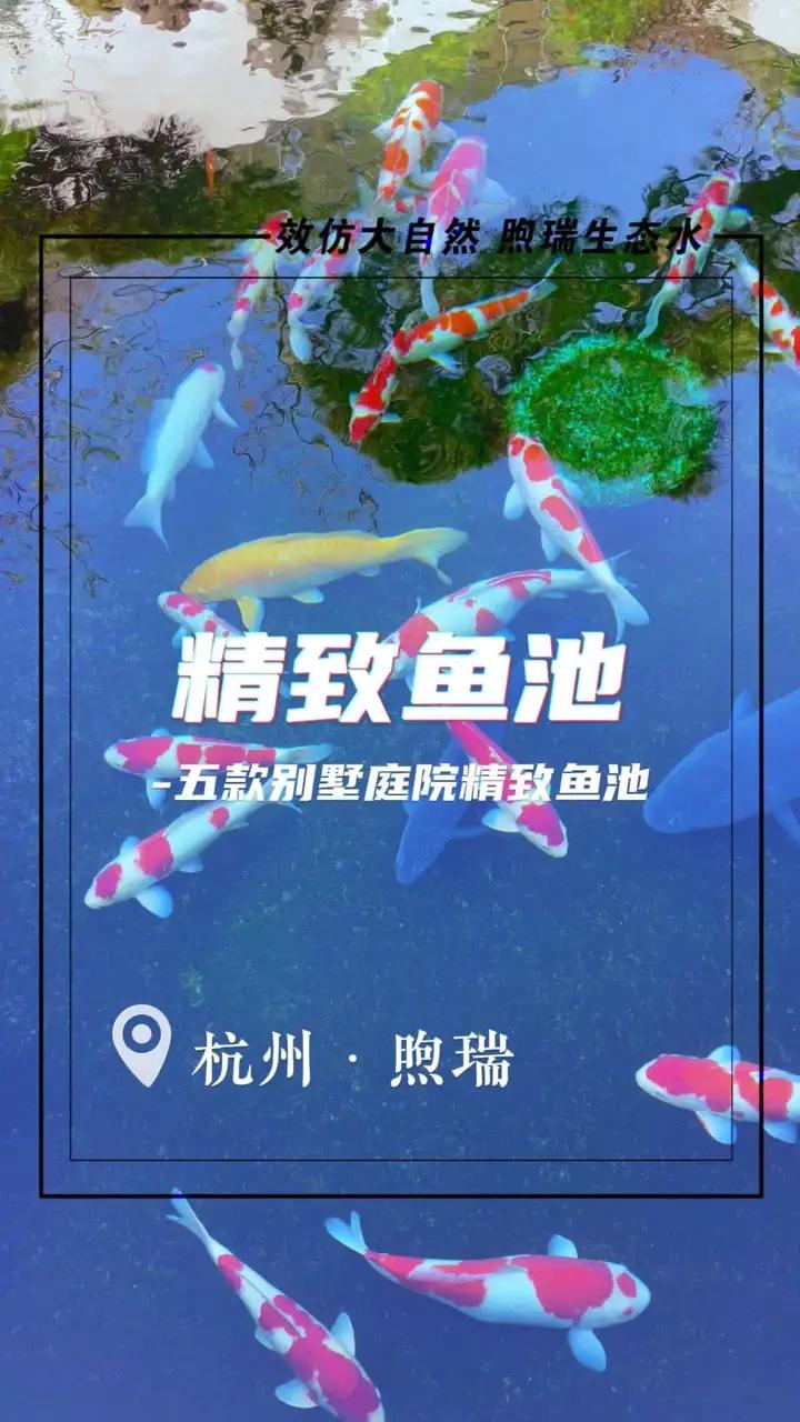 五款精致别墅庭院锦鲤鱼池,煦瑞生态水作品 建池不走弯路,养鱼轻松有趣。煦瑞生态水分享了5款