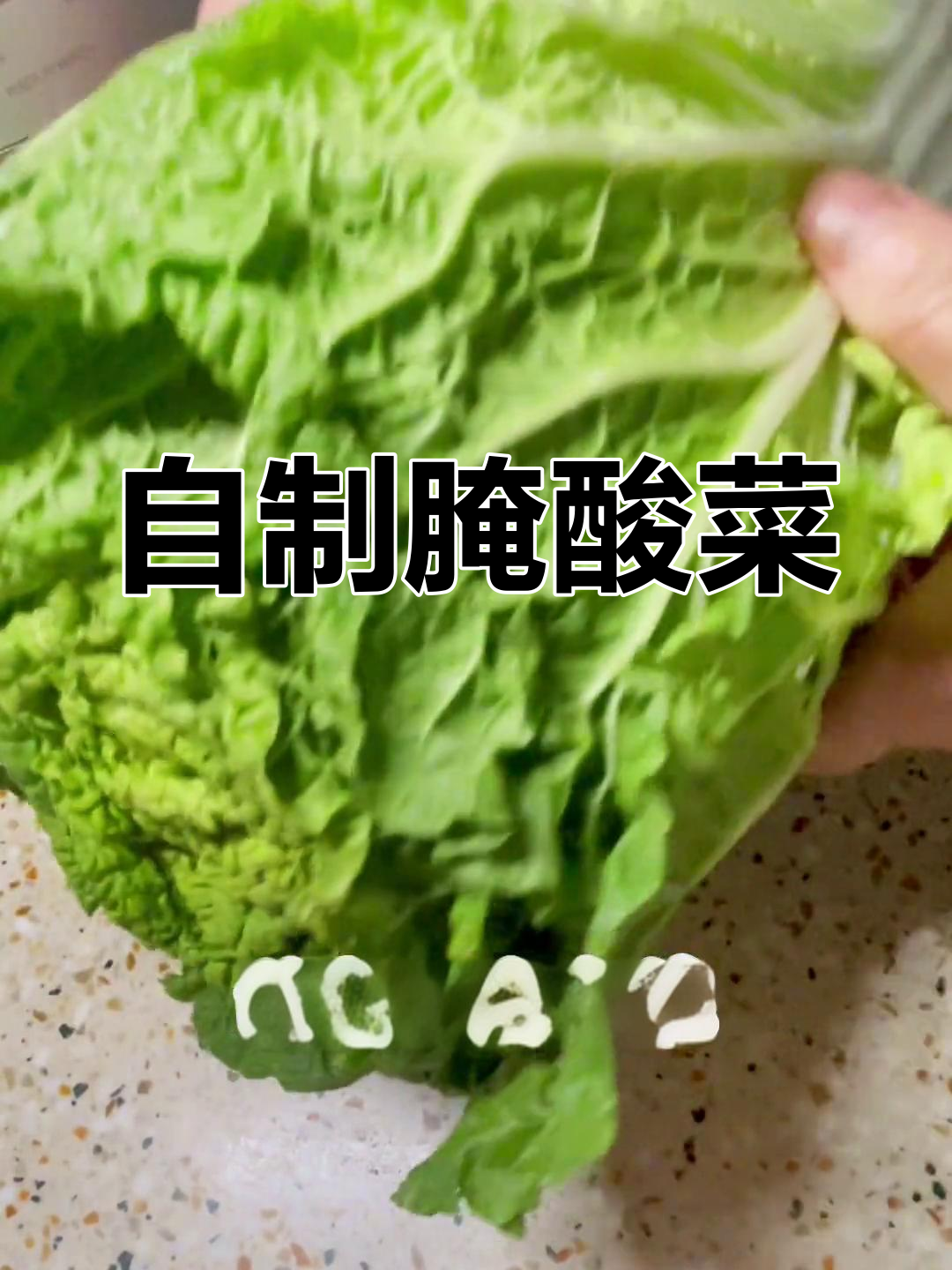 四川也能做东北酸菜,轻松腌制家常味