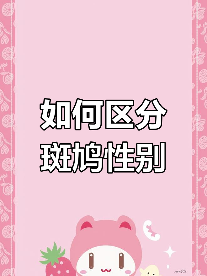斑鸠公母辨别技巧大揭秘