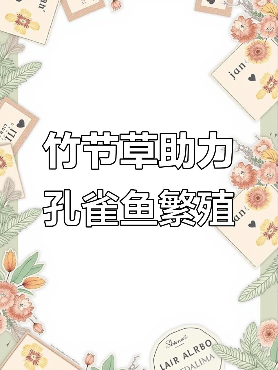 母鱼在竹节草中安心生产,小鱼仔数量惊人