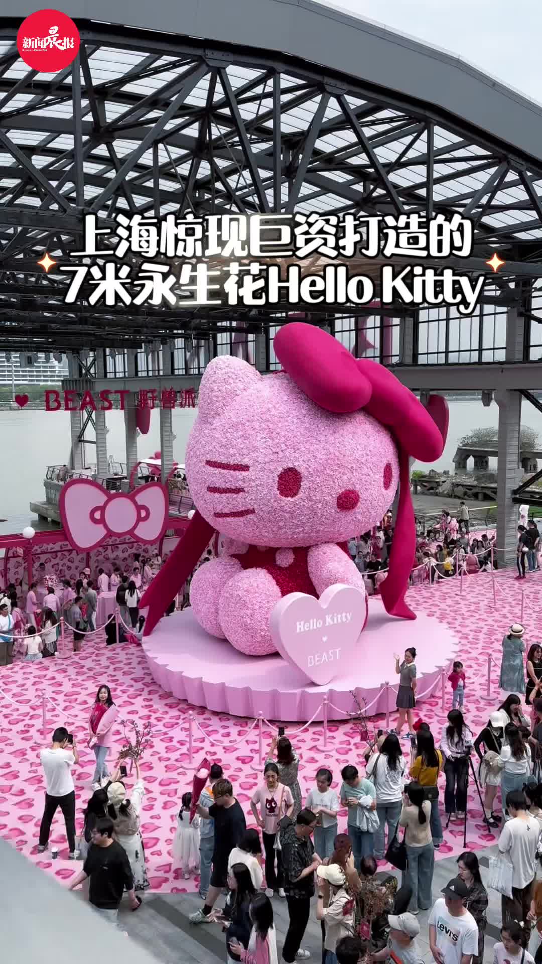上海惊现巨资打造的7米永生花Kitty猫