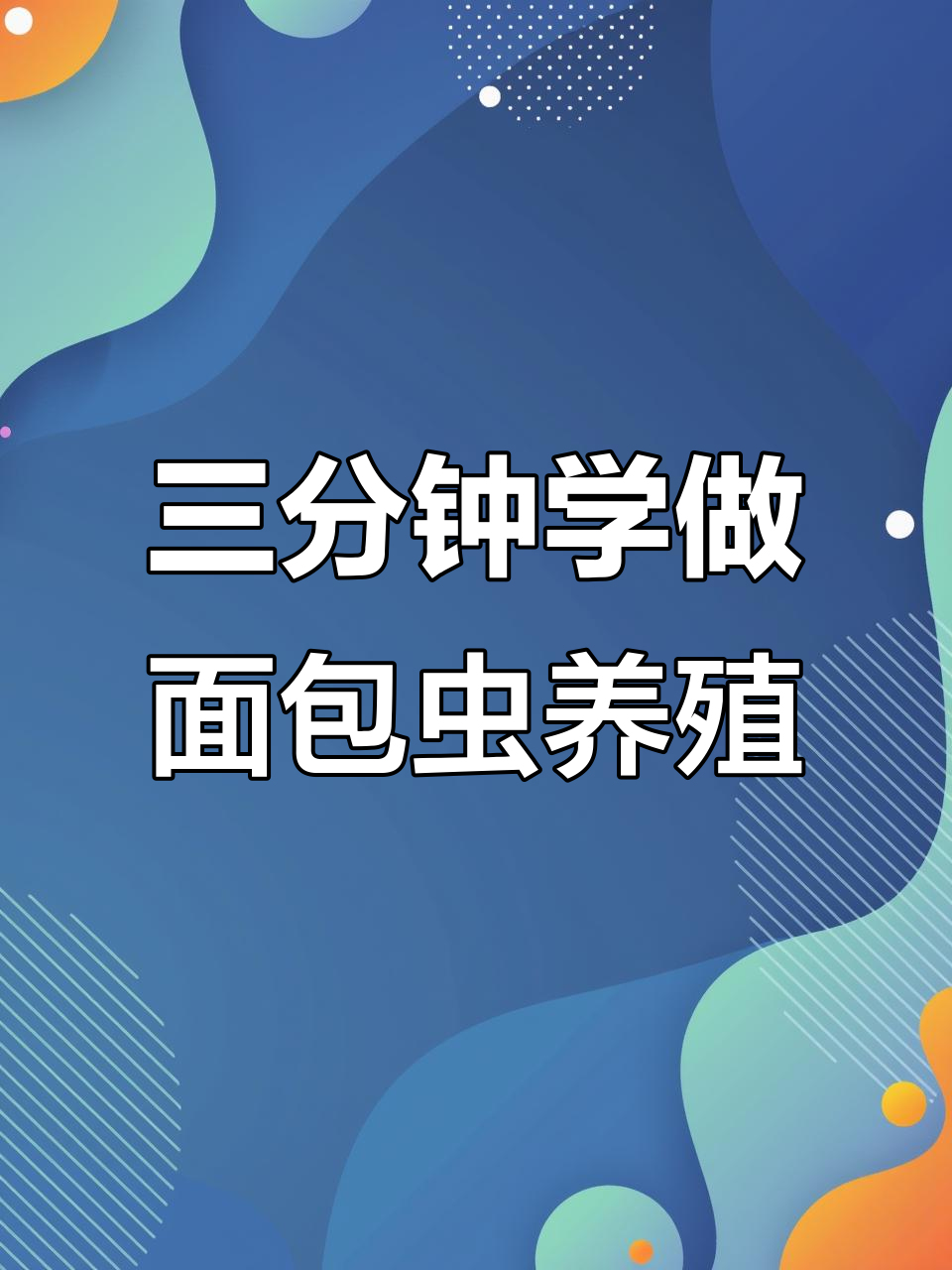轻松在家孵化面包虫,三分钟学会繁殖技巧
