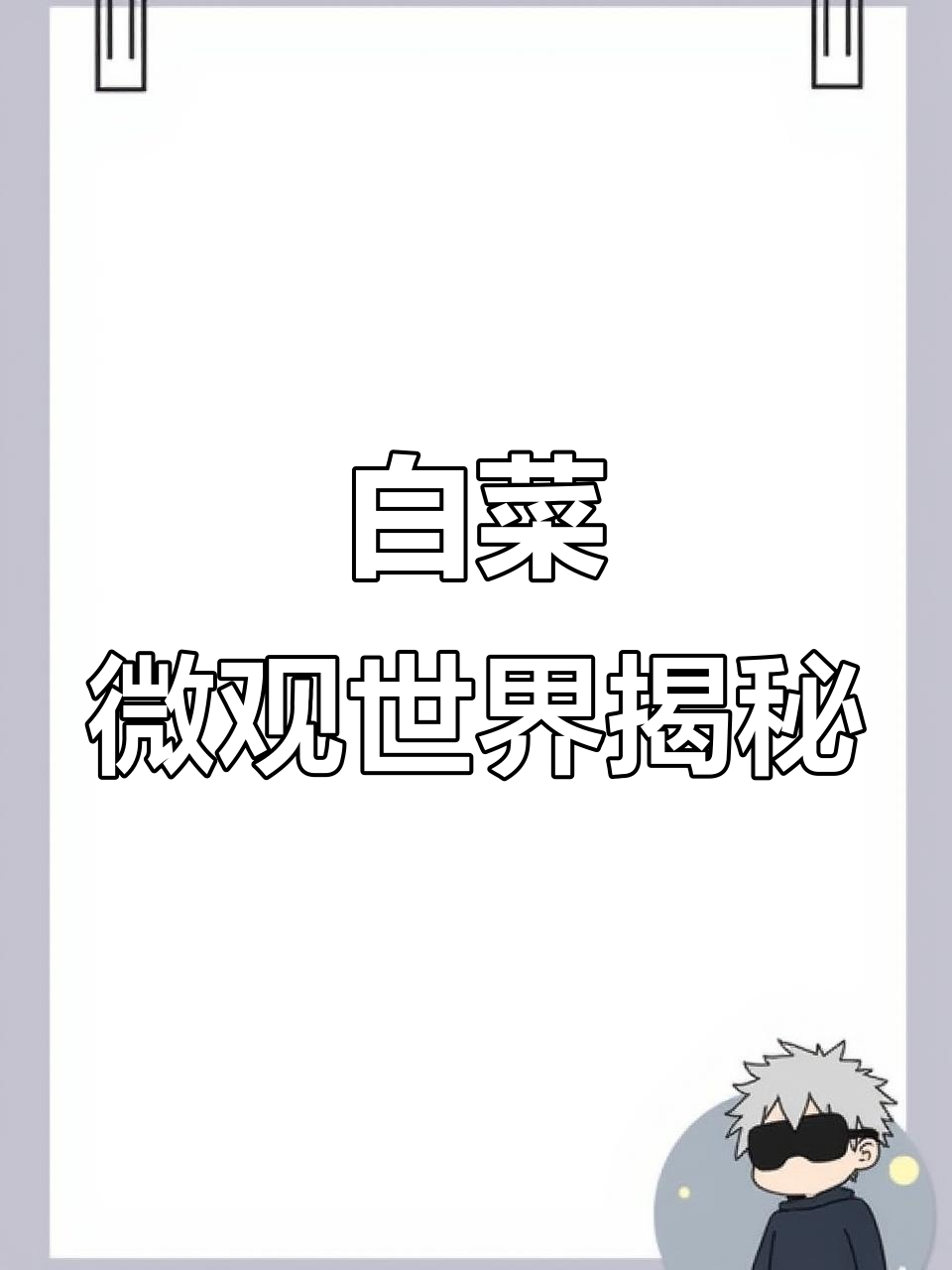 显微镜下看白菜，叶脉与纤维的奇妙结构