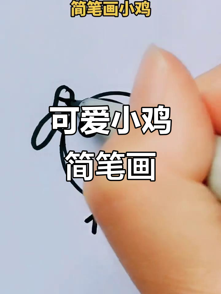 小鸡的成长日记:从早睡早起到迷吃蜜,健康又快乐!