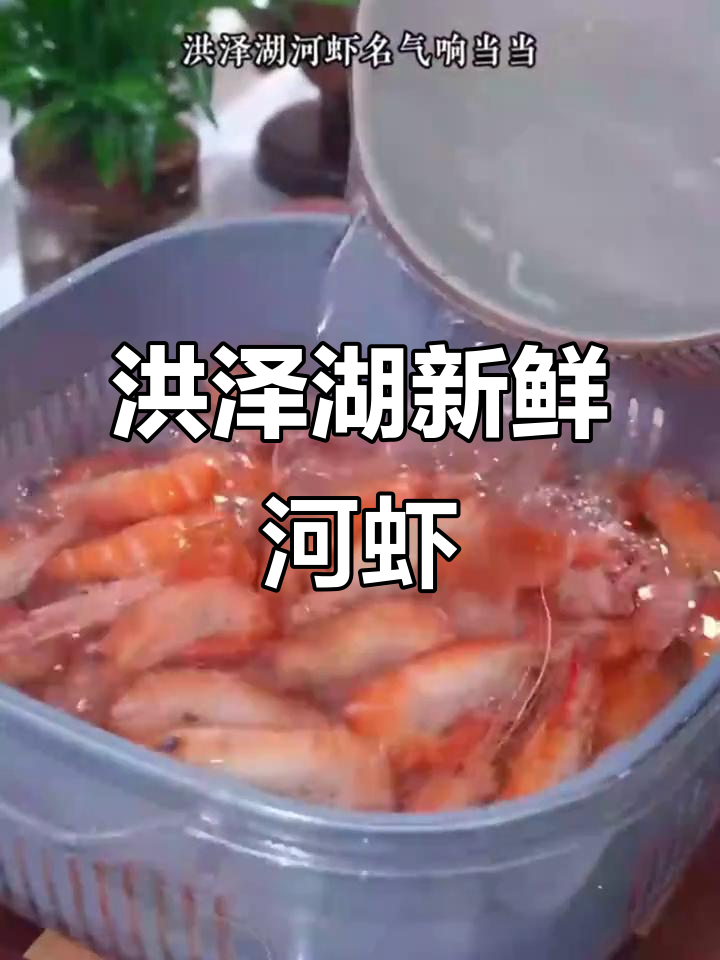 洪泽湖新鲜金丝河虾,液氮锁鲜技术让美味更持久