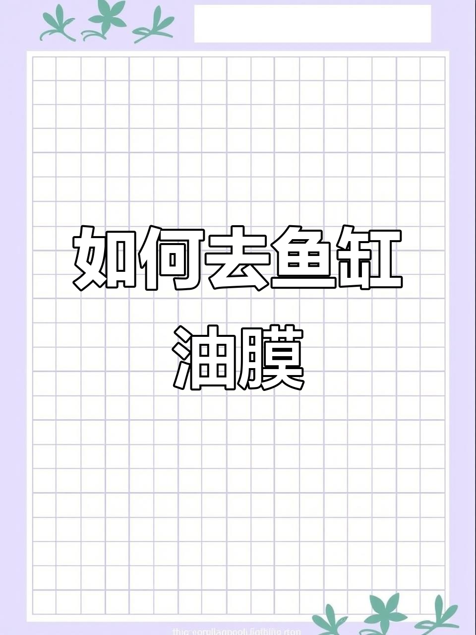 鱼缸油膜的来源及去除方法，简单又有效！