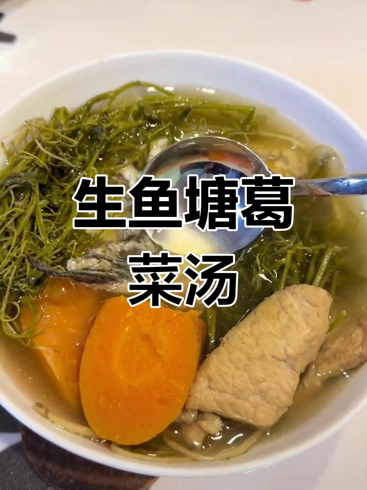 塘葛菜生鱼汤,清热解毒又适合熬夜