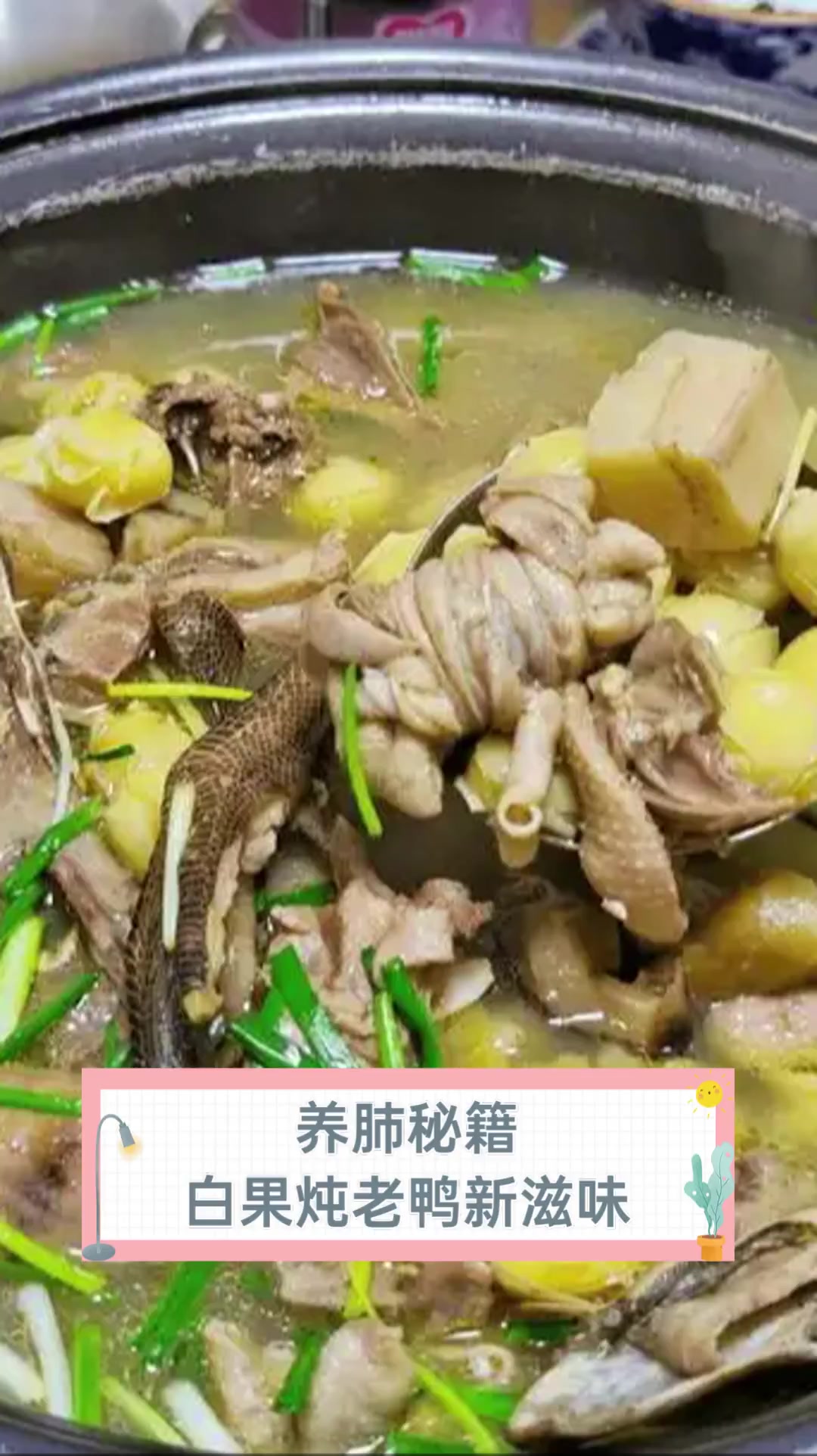 养肺秘籍,白果炖老鸭新滋味