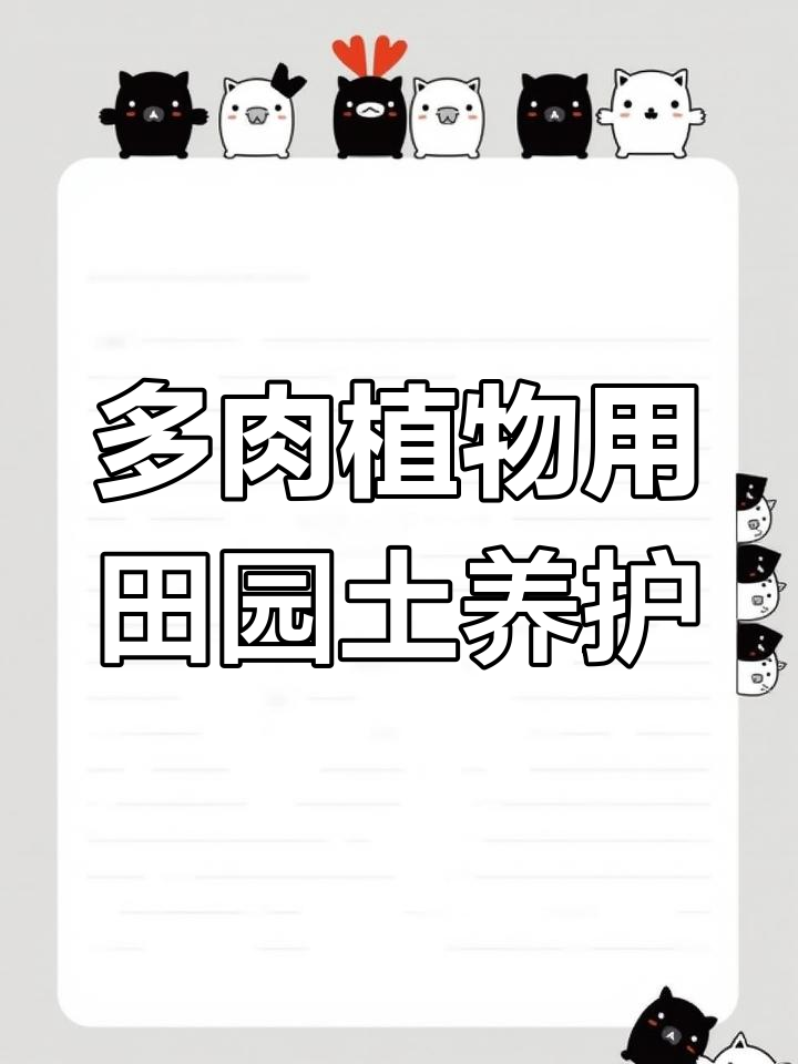 田园土养多肉,生长更旺盛
