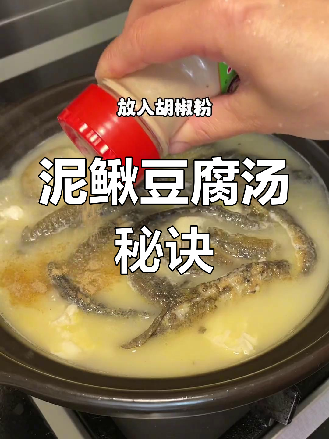 泥鳅豆腐汤,简单又美味,轻松掌握去内脏技巧!