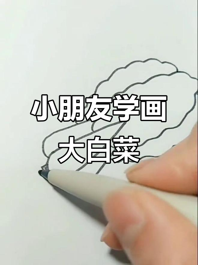 幼儿园创意简笔画:白菜水彩画