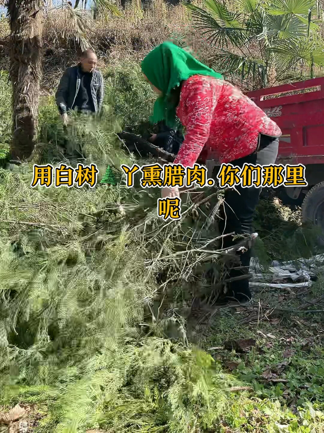 柏树丫烟熏腊肉特美味