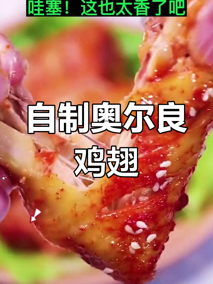 家庭版奥尔良烤鸡翅做法