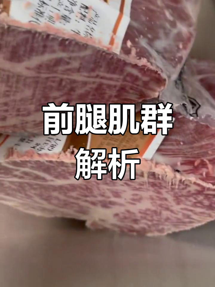 前腿各部位详解,了解肌肉分布更懂烹饪