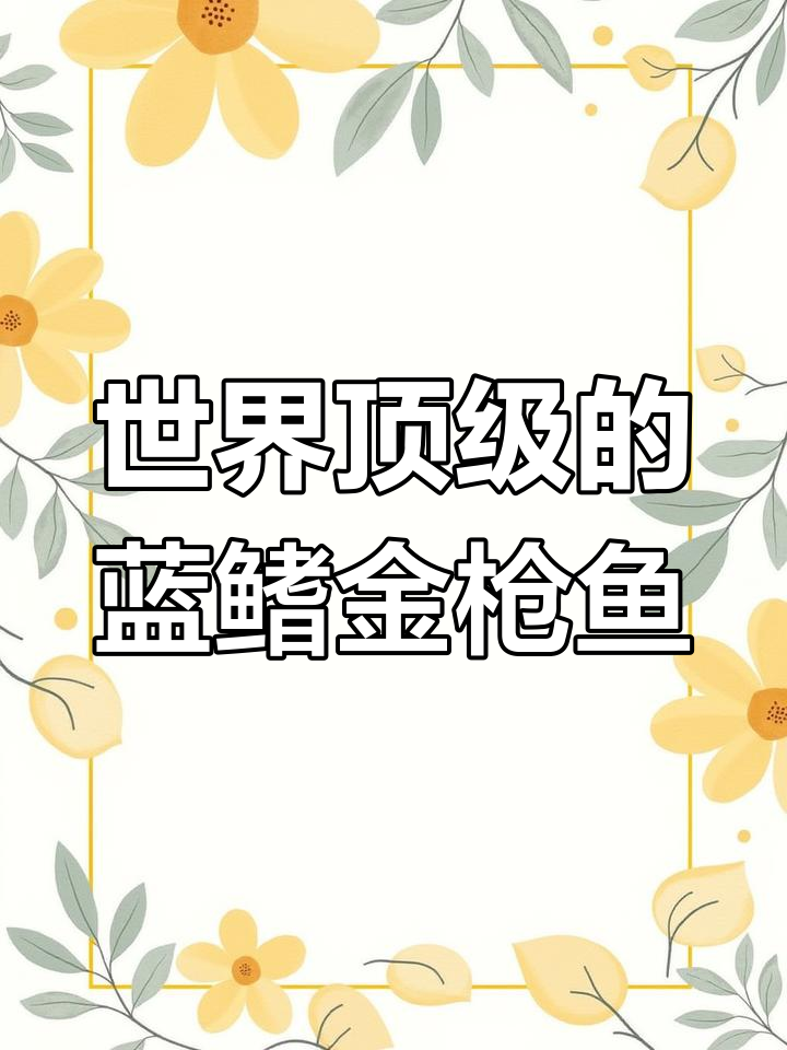 蓝鳍金枪鱼:顶级美味,大腹扩大肥最鲜美