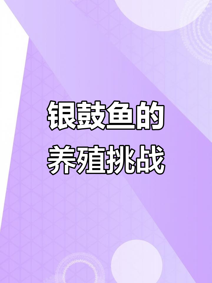 银鼓鱼：淡水与海水都能生存，对水质要求高