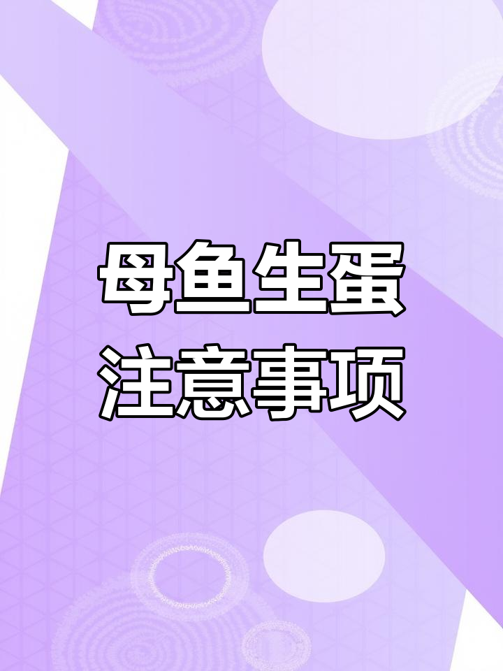 孔雀鱼生蛋的秘密:如何避免早产和受精问题