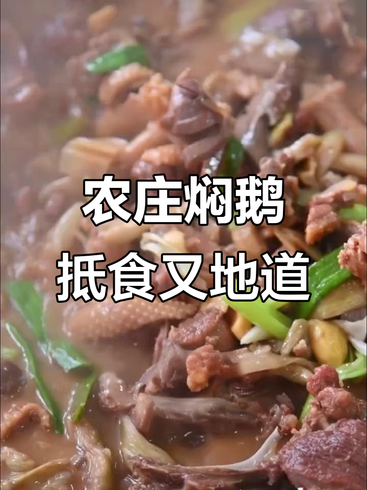佛山农庄特色焖鹅,家人一起品尝地道美味