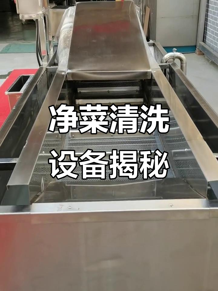 蔬菜清洗大揭秘:净菜加工中的气泡清洗技术