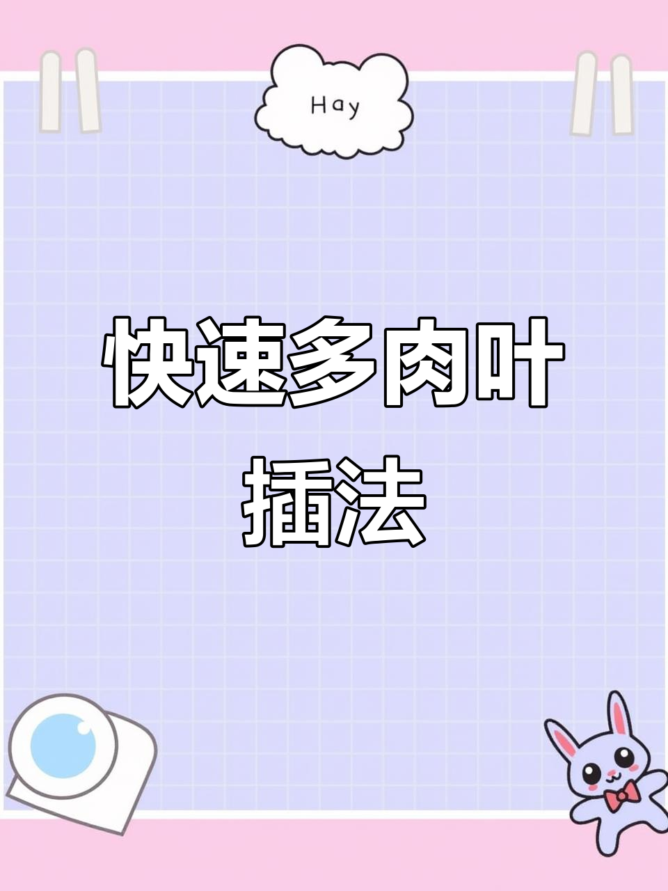 多肉叶片繁殖技巧,轻松长根发芽,成活率超高